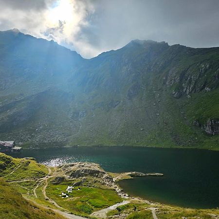 Casa Oaspeti Transfagarasan Apartman Cîrţişoara Kültér fotó