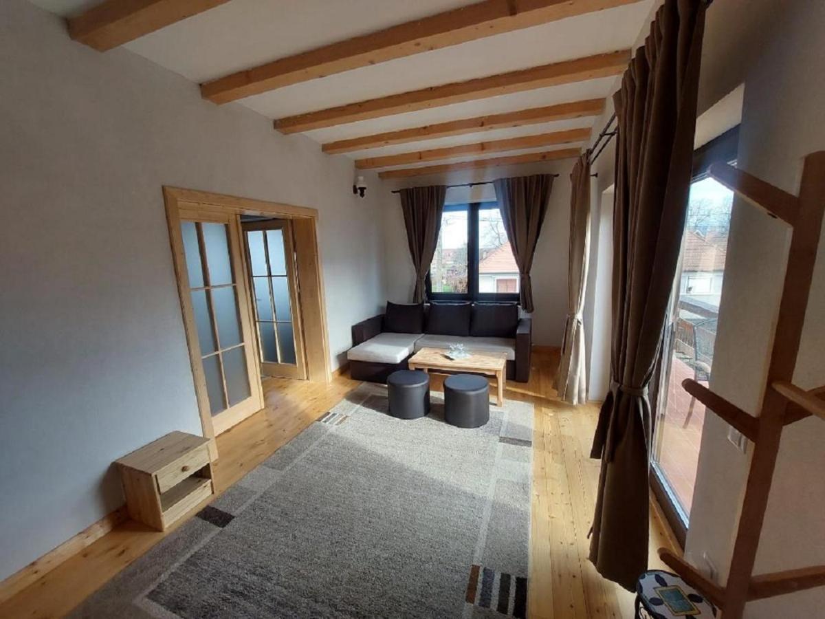 Casa Oaspeti Transfagarasan Apartman Cîrţişoara Kültér fotó