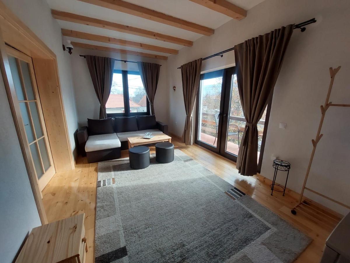 Casa Oaspeti Transfagarasan Apartman Cîrţişoara Kültér fotó