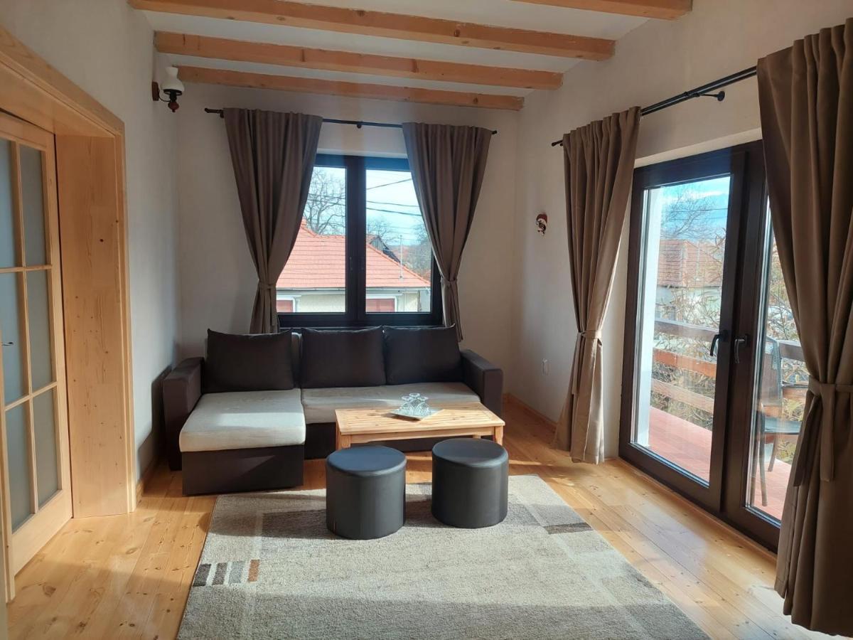 Casa Oaspeti Transfagarasan Apartman Cîrţişoara Kültér fotó