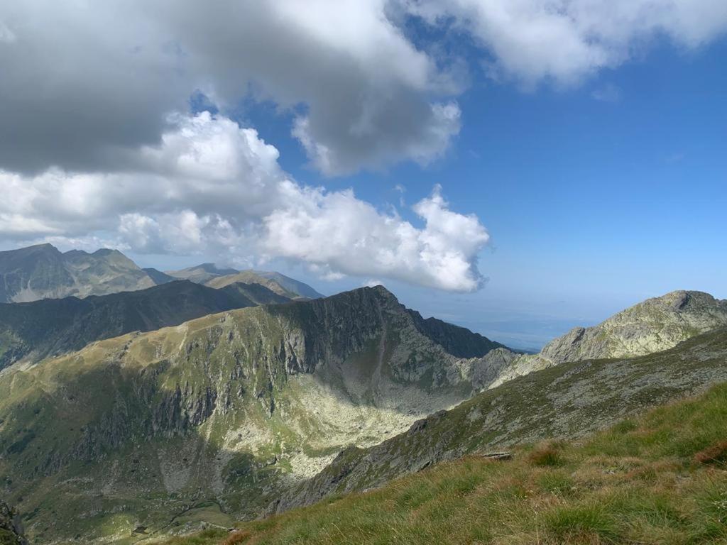 Casa Oaspeti Transfagarasan Apartman Cîrţişoara Kültér fotó