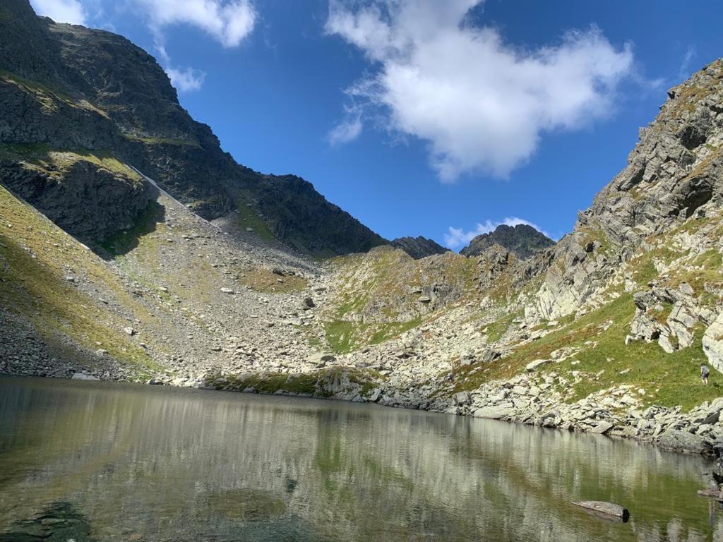 Casa Oaspeti Transfagarasan Apartman Cîrţişoara Kültér fotó