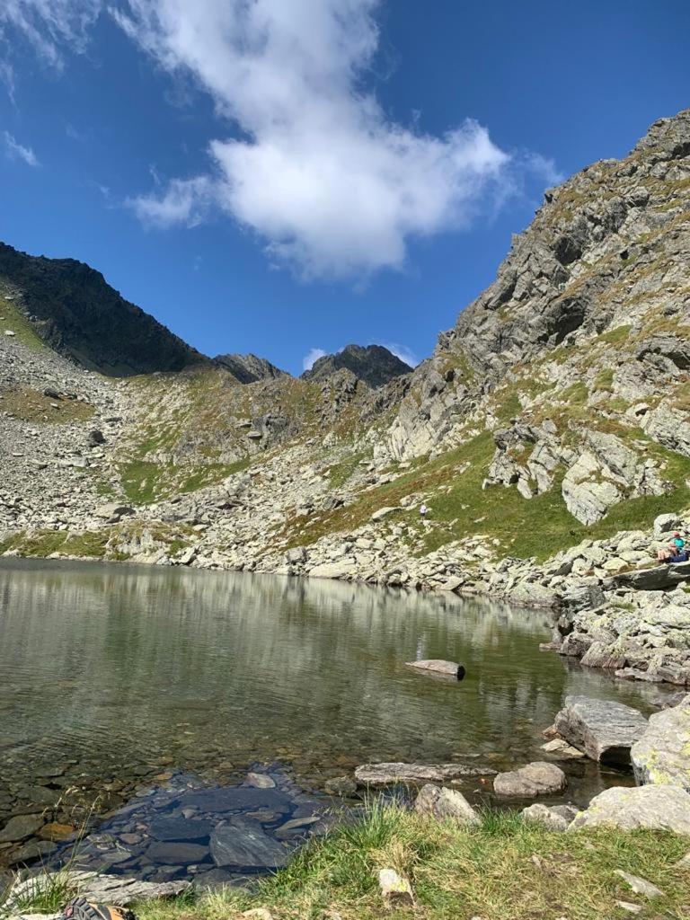 Casa Oaspeti Transfagarasan Apartman Cîrţişoara Kültér fotó