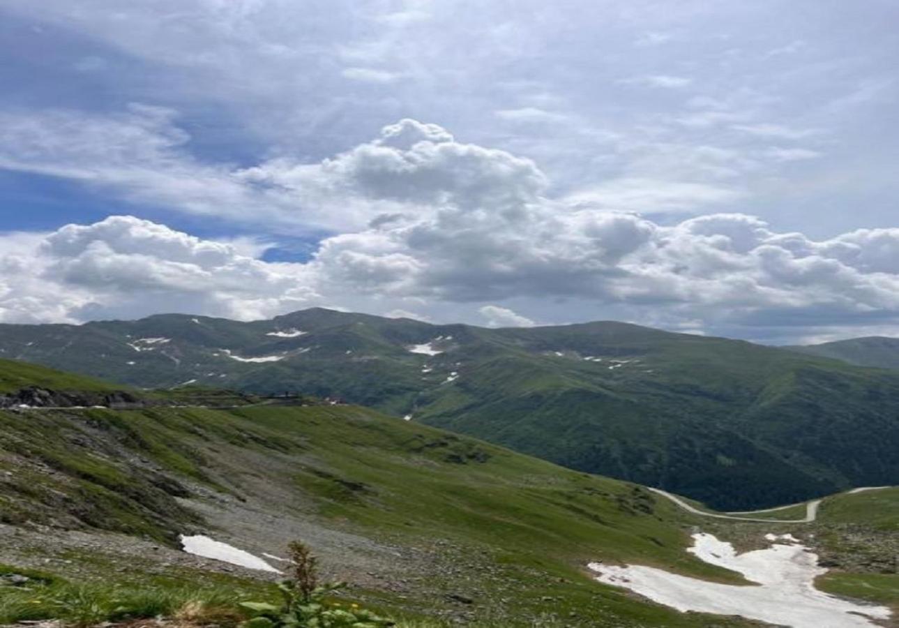 Casa Oaspeti Transfagarasan Apartman Cîrţişoara Kültér fotó